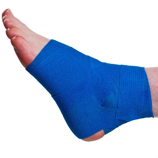 Ankle Pain